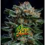 Gorilla Piña Auto (x4)